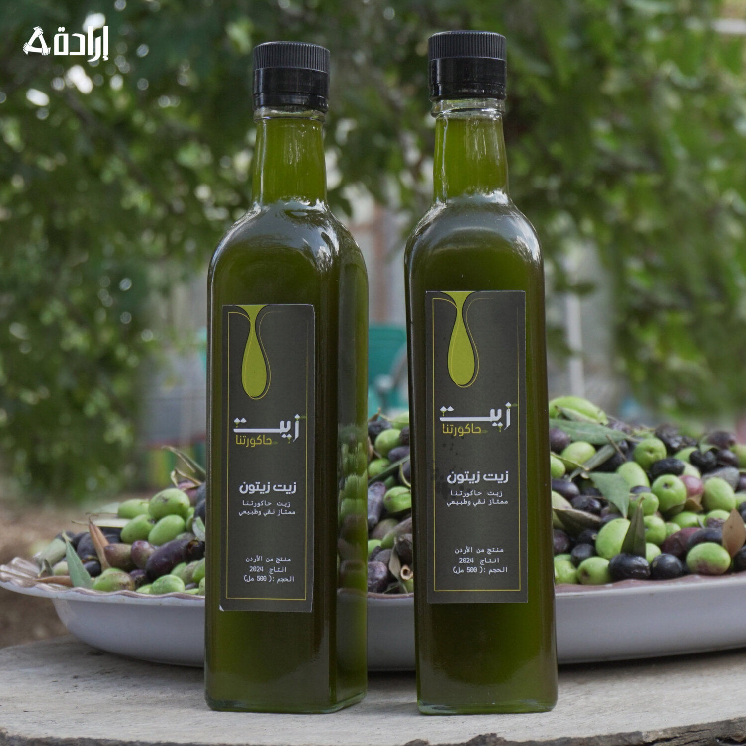 زيت زيتون 
