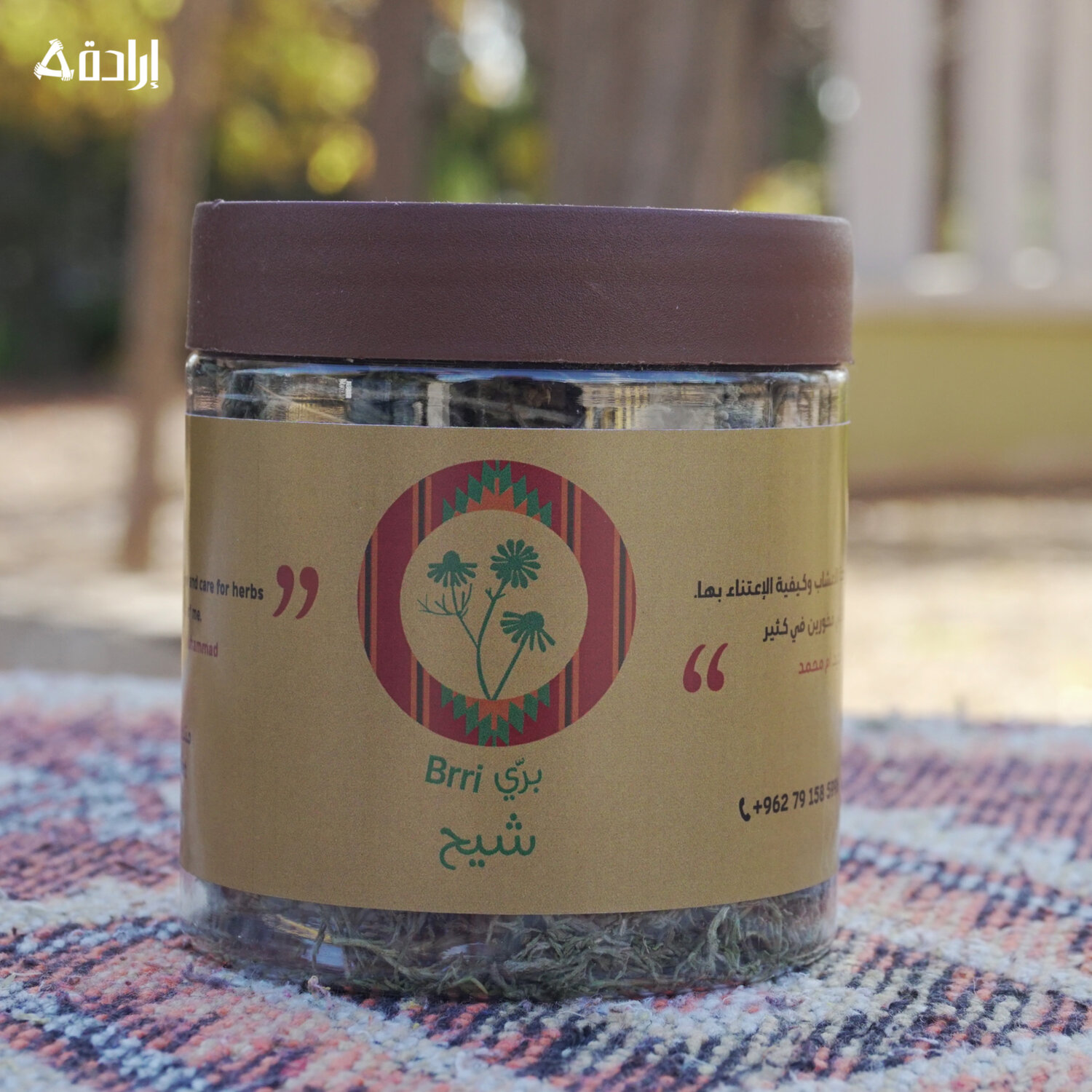شيح