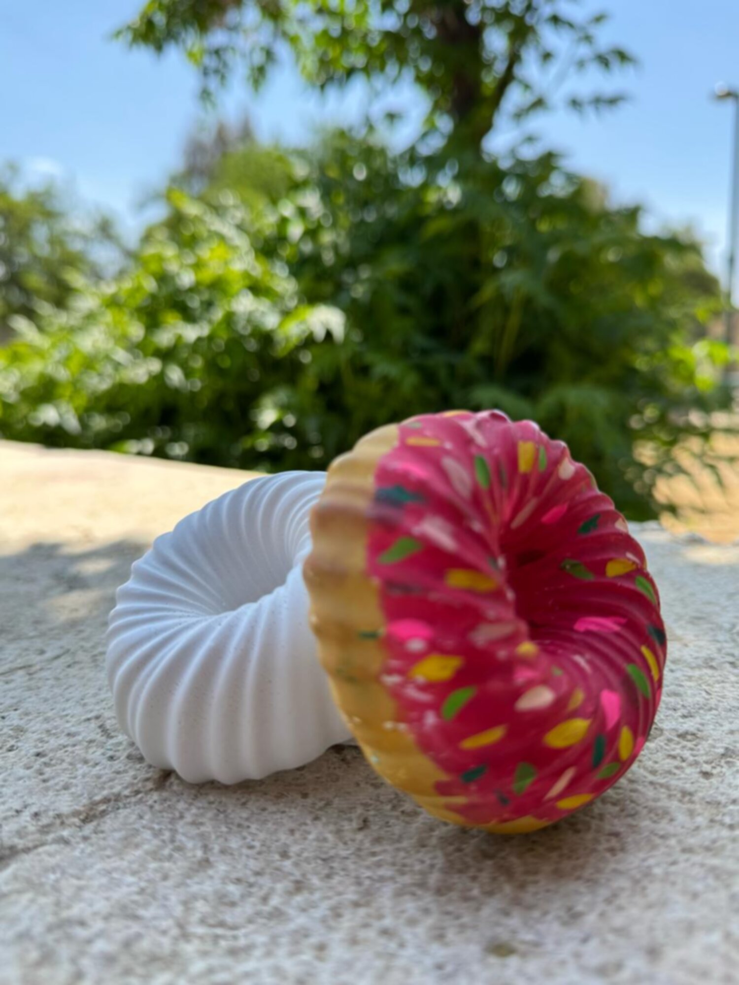 جبس الدونات 🍩